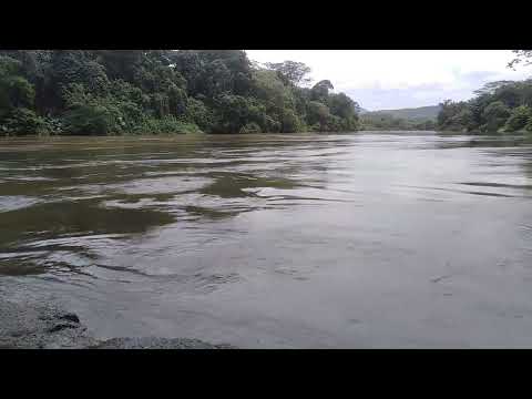 Rhythmic River Water Flow: Nature's Mindful Meditation for mind Relaxation