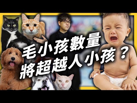毛小孩的意思