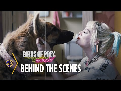 Wild Nerds: Yırtıcı Kuşlar Üzerinde Görsel Efektler