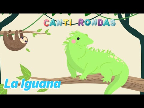 La Iguana - Canti Rondas - Ronda Infantil Tradicional
