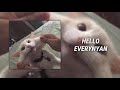Goofy Edit Audios That Make My Toes Curl