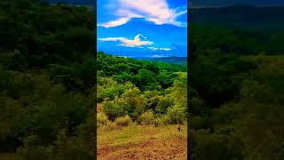Download lagu STORY WA -  PEMANDANGAN INDAH DI GUNUNG YANG SANTAI #shorts #short mp3