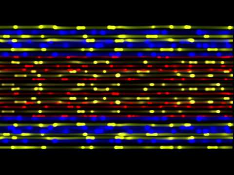 Club Visuals 361 - Free VJ Loop HD