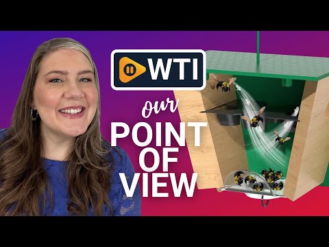 Carpenter Bee Traps for Outside - Carpenter Bee Trap - WTI product video review