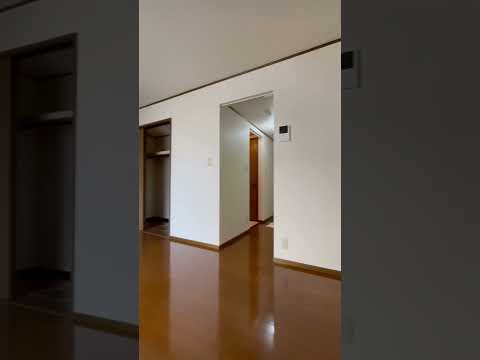 アパートのテラスの開発: 専門家のアドバイスと装飾のヒント  庭園