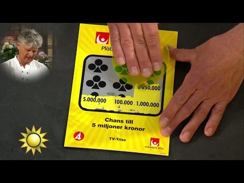 Dagens trissvinst delas broderligt - Nyhetsmorgon (TV4)