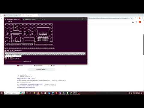 PicoCTF clutter-overflow