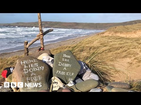 Grave of Harry Potter's Dobby the Elf saved - BBC News
