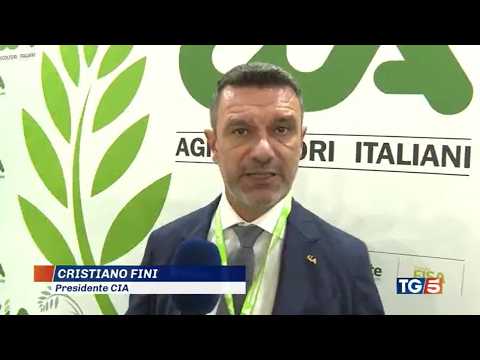 TG5 - Il presidente di Cia da Risò: tutelare il settore stretto tra siccità e concorrenza "sleale"