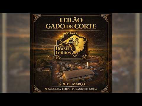 LEILÃO  GADO DE CORTE BRASIL LEILÕES  PORANGATU - GO  30 /03 / 2026