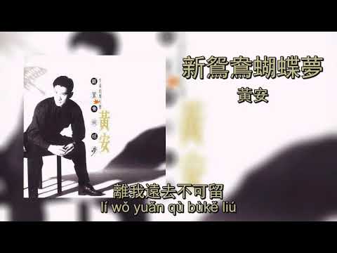 新鴛鴦蝴蝶夢 - 黃安 | Xin Yuan Yang Hu Die Meng - Huang An (Lyrics + Pinyin)