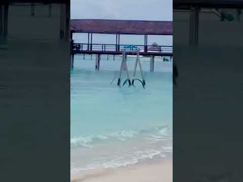 Living Hell | Bella Poarch