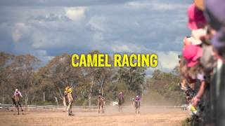 preview picture of video 'Tara Festival of Culture and Camel Races 2013 TV Commercial'