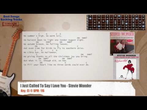 Stevie Wonder - I Just Called To Say I Love You Backing Track