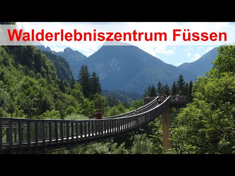 Forest Adventure Center Füssen: An unforgettable experience on the treetop walk in the Allgäu