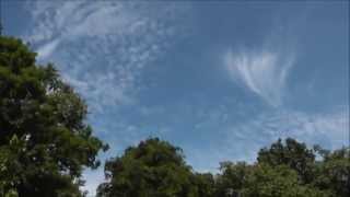 Mike Gordon - Take Me Out