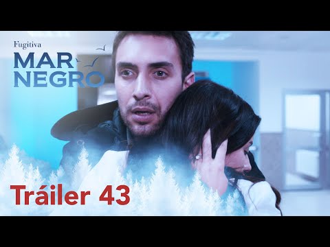 Black Sea will be with you tomorrow night with episode 43! | Fugitive