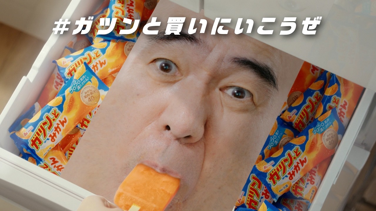 ガツン、と エガちゃん冷凍庫篇 15秒