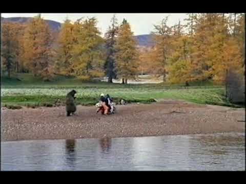 John West 'bear Chase' Advert - Bear Chasing Men on Moped with Fish