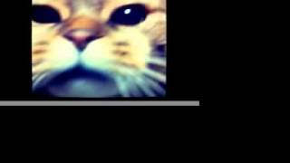 I pray/pushim カバー。