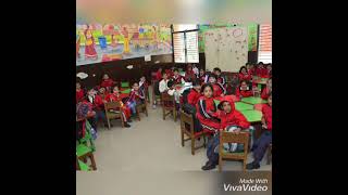 Lions Public School Video