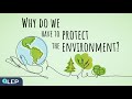 Why Should We Protect The Environment ️ 8 Minute English Beginner