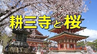 preview picture of video '耕三寺、広島県 生口島 Kosanji Temple - Onomichi Travel'