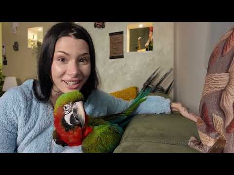 Vlogmas 29: odgovaram na Q&A od pre 8 godina sa malom UkiQ 