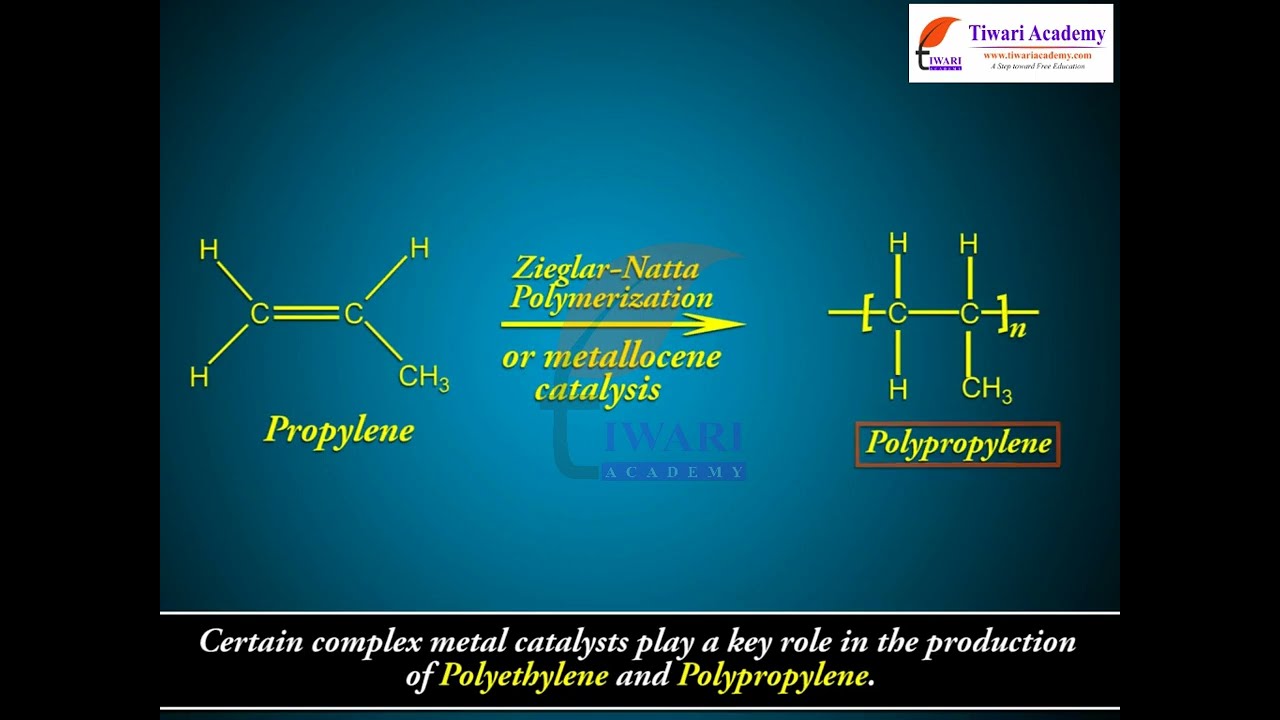 Class 12 Chemistry Importance and Applications of Coordination Compounds in Chapter 9