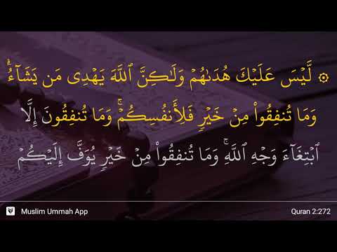 Al-Baqarah ayat 272