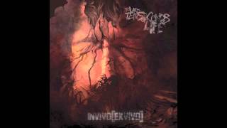 The Last Ten Seconds of Life - The Face