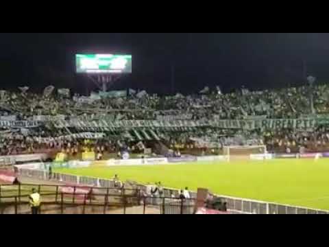 "La droga de mi corazón| LOS DEL SUR Atlético Nacional | 2017" Barra: Los del Sur • Club: Atlético Nacional