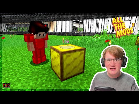 STICH = REGENERATION: Diese BIENE kann was! - ATM3 Ep. 038