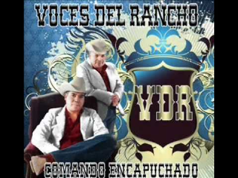 BAILAZO VOSES DEL RANCHO  EN EL SINALOENSE 28 Y PULASKI DOMINGO JULIO 17