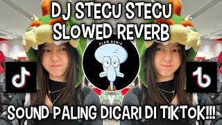 Download lagu DJ STECU STECU SLOWED REVERB | SOUND VIRAL DI TIKTOK ‼️ mp3