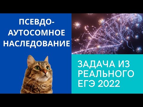 ПСЕВДОАУТОСОМНОЕ НАСЛЕДОВАНИЕ! Как решать задачи?