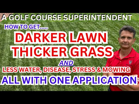 Take Your Lawn To The Next Level With Plant Growth Regulators