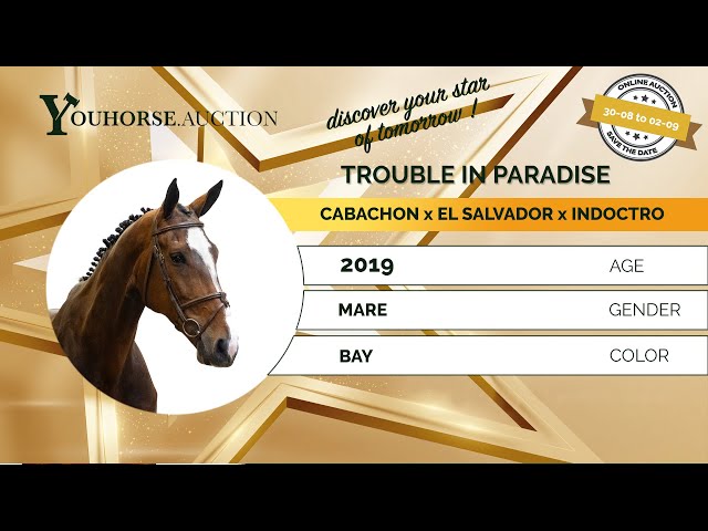 Trouble in Paradise