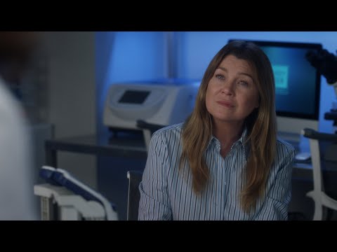 Kai and Meredith Talk About the Job Offer - Grey's Anatomy