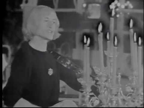 Michel Polnareff : l'oiseau de nuit