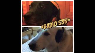 Radio S3S   Puntata 3
