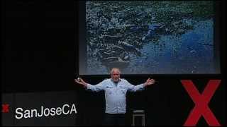 The man who planted trees - pay it forward to the year 4012: David Milarch at TEDxSanJoseCA