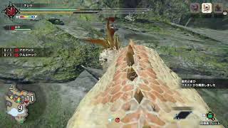 【モンハンライズ】ランス体感しながら金冠周回