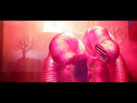 המופע הבין לאומי LAMOR