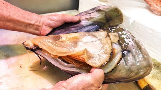 Japanese Street Food - GIANT MUSSELS + Seafood and Street Food of Nishiki Market in Kyoto, Japan