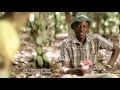 Niche Chocolate 1st TV Ad