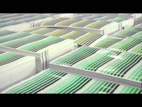 Behind-the-Scenes look at Pantone PLUS SERIES