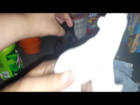 Monster and dinosaurs island buddies ep 68 season 5