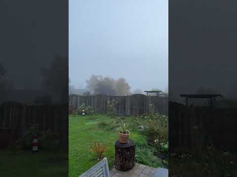 Pfeifen-Quicktipp - Das Wetter ausnutzen für Pfeifentabak #shorts