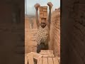 Usually Construction Workers Have Sore Hands After Work Indian Labour Hardwork Respect